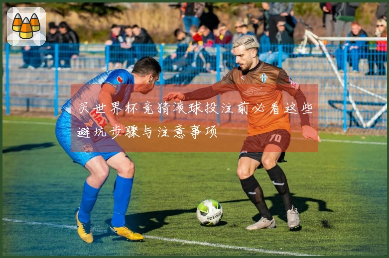 买世界杯竞猜滚球投注前必看这些避坑步骤与注意事项