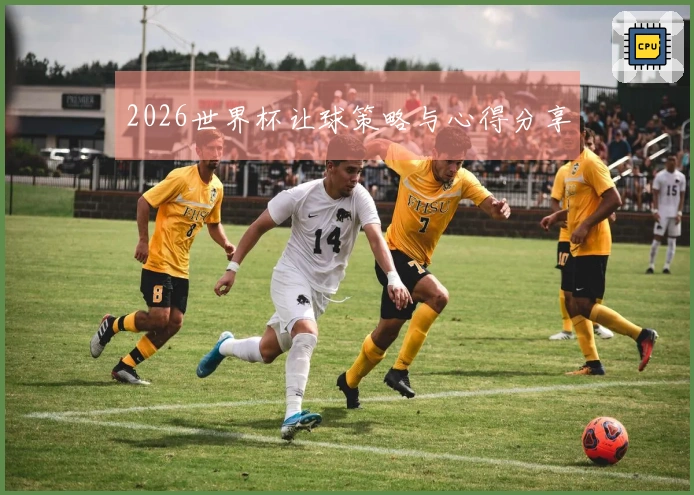 2026世界杯让球策略与心得分享