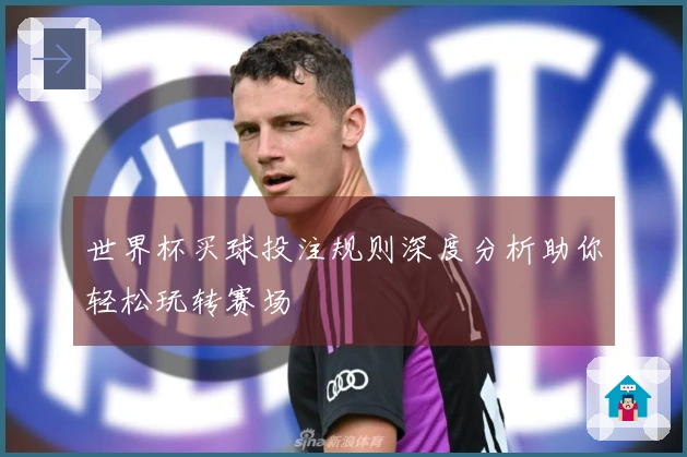 世界杯买球投注规则深度分析助你轻松玩转赛场