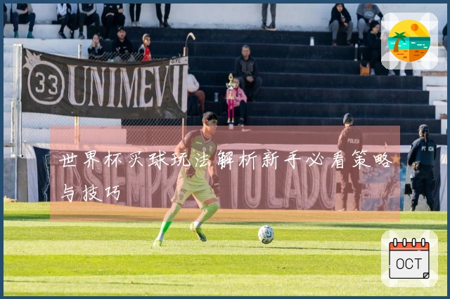 世界杯买球玩法解析新手必看策略与技巧