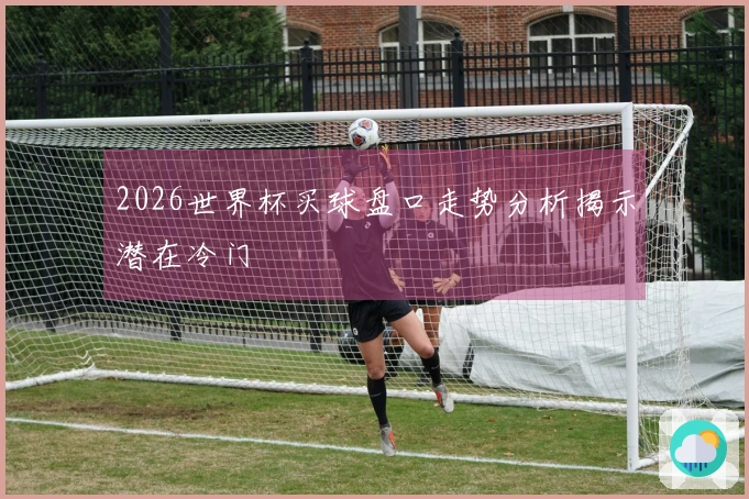 2026世界杯买球盘口走势分析揭示潜在冷门