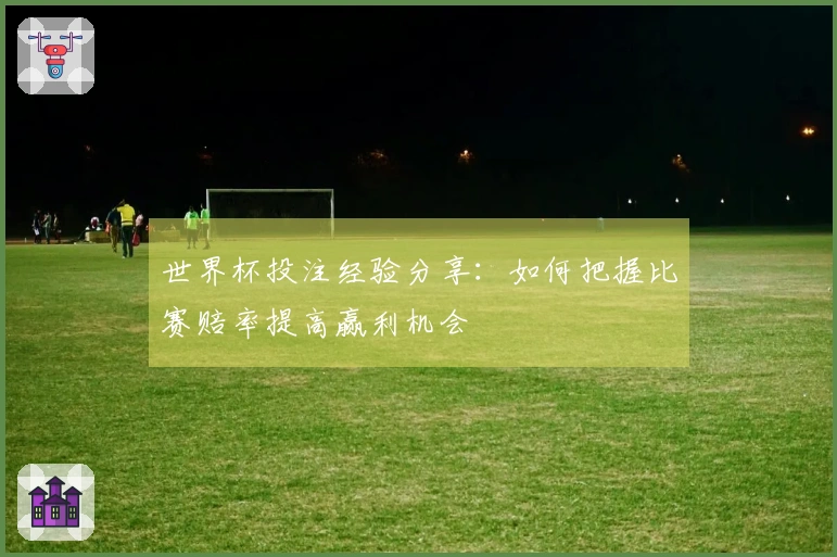世界杯投注经验分享：如何把握比赛赔率提高赢利机会