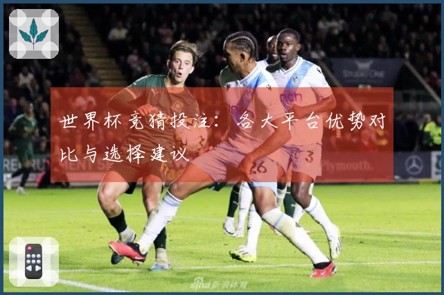 世界杯竞猜投注：各大平台优势对比与选择建议